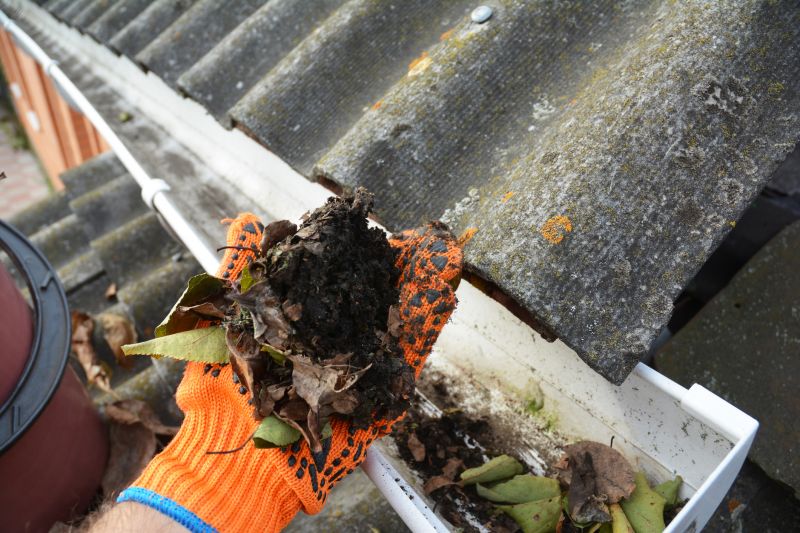 Clean Gutters with No Debris