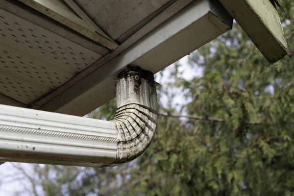 Roof Drain Replacement in Carthage